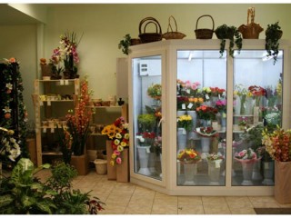 Холодильное оборудование для цветочного магазина